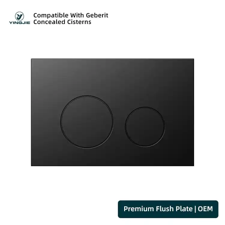Black Stainless Flush Plate With Outline Round Buttons For Modern Washrooms