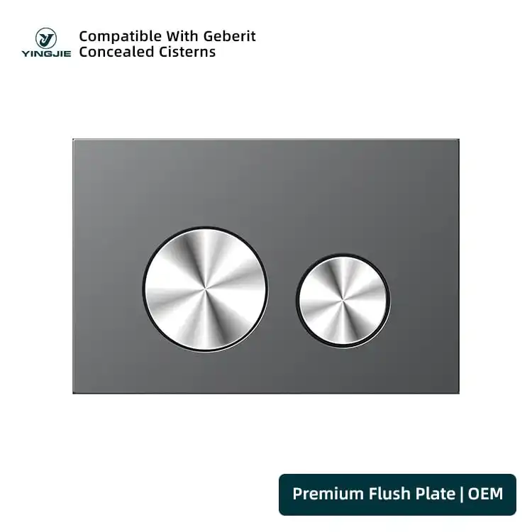 Charcoal Stainless Flush Plate With Mirror Round Buttons For Bathroom Projects