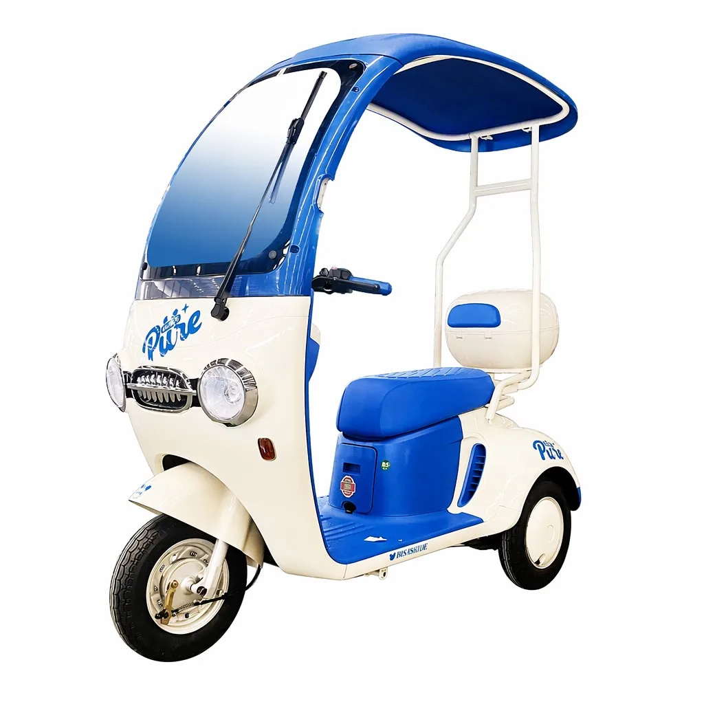 Small Electric Tricycle