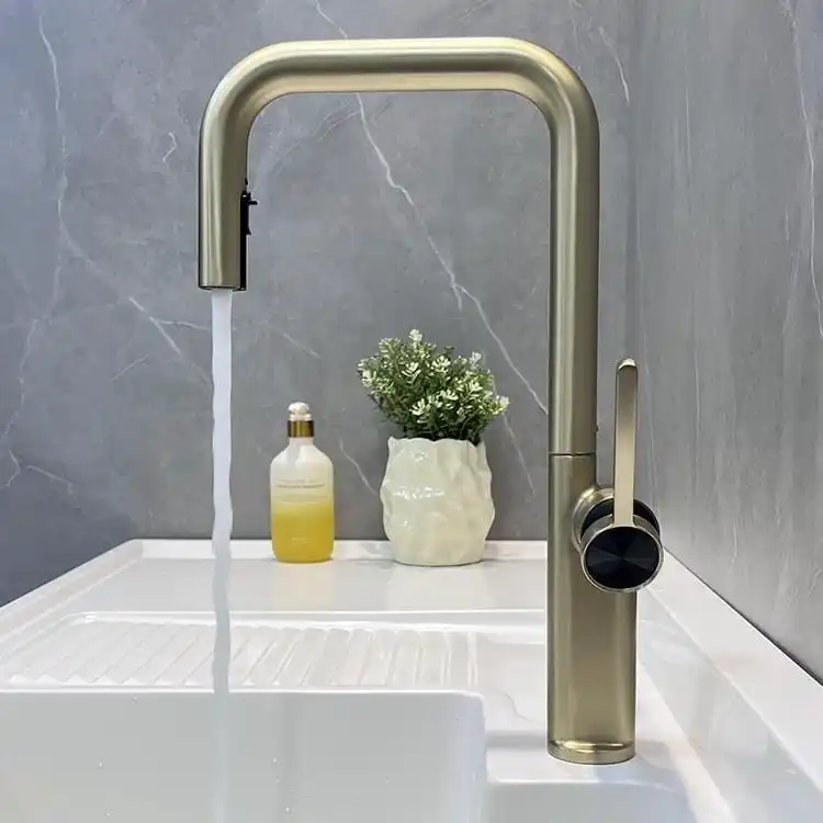 Black Gold Pull Out Faucet Model 107 B2E-BG Perspective View black-gold-pull-out-faucet-perspective-view