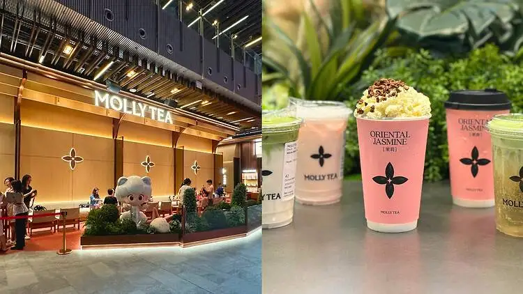 Molly Tea Maryland Soft Opening