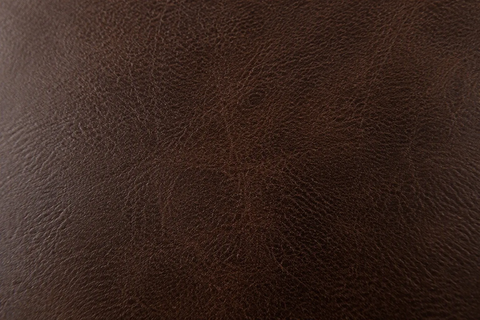 Macro texture of Leather