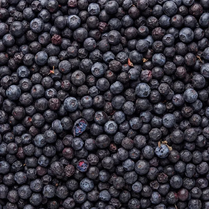 Blueberry Texture Close-up