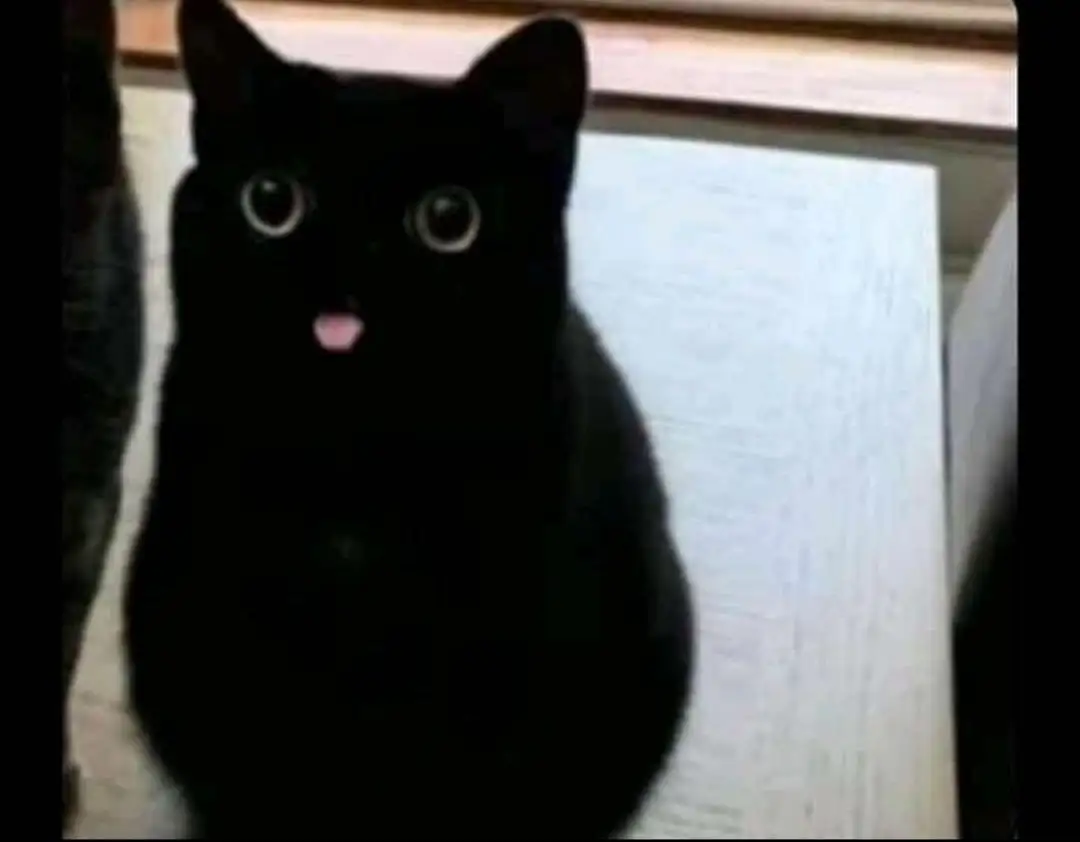 K2 树's Profile Binance Square