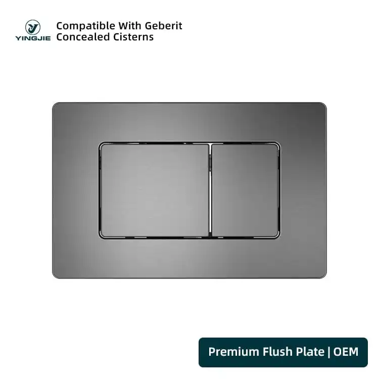 Gunmetal Stainless Steel Flush Plate With Rectangular Dual Buttons For Modern Interiors