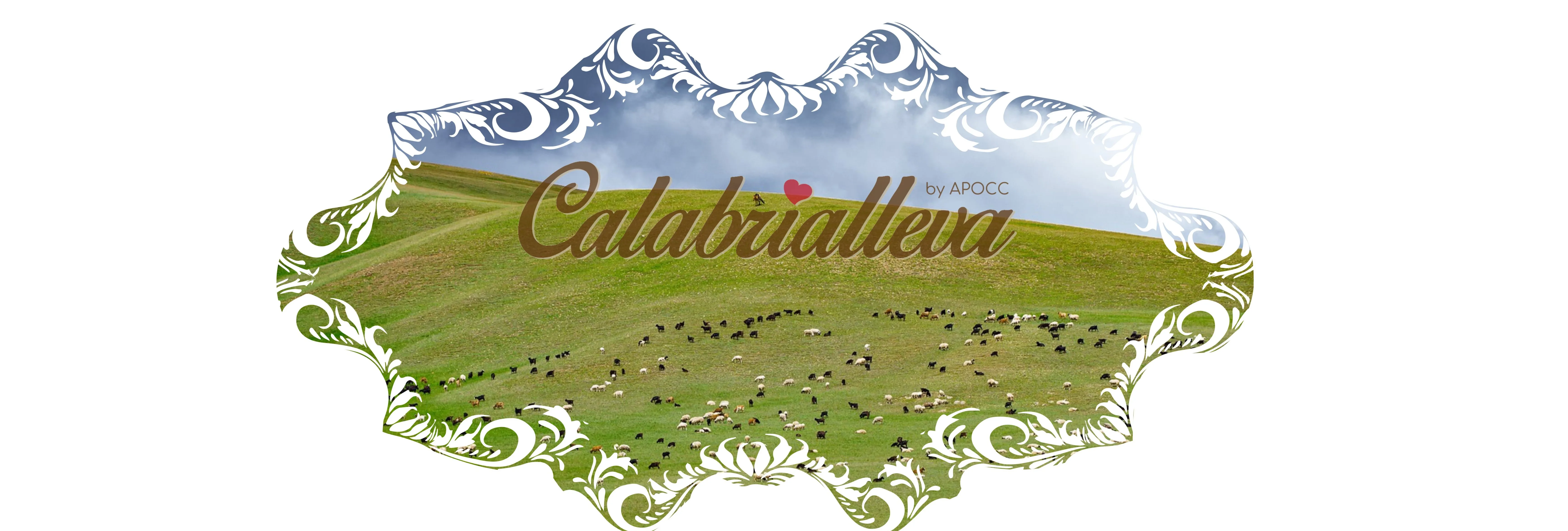 A.P.O.C.C. SOC. COOP pecorino crotonese cheese, pecorino cheese with chilli