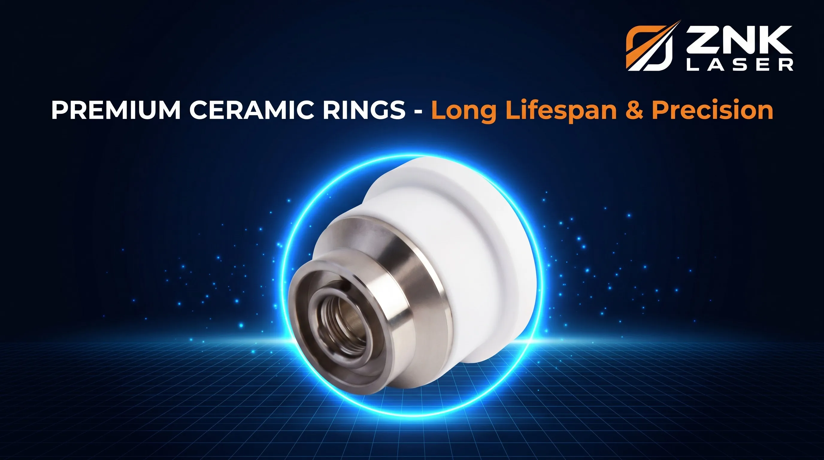 Comparison of new and worn ceramic rings showing signs of damage