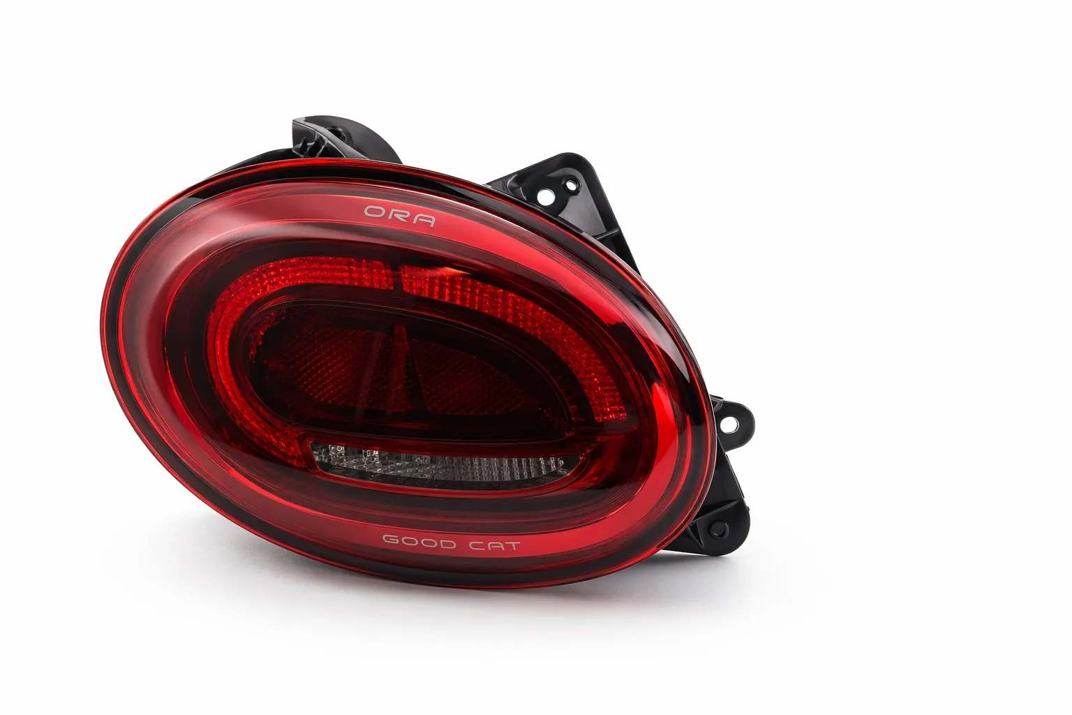 Tail Light (L)