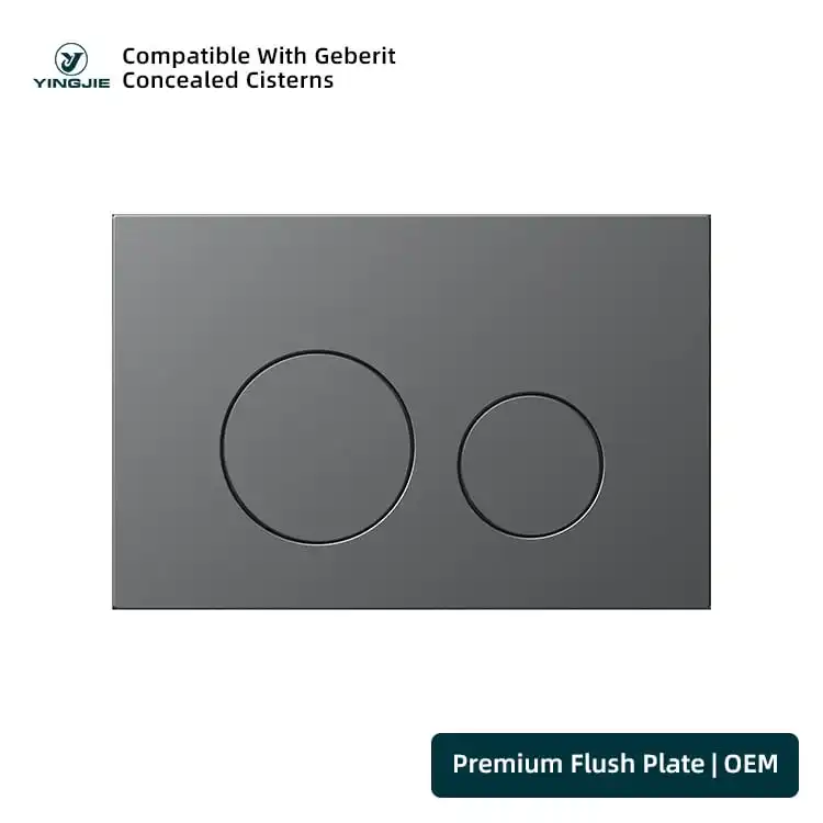 Charcoal Stainless Flush Plate With Outline Round Buttons For Modern Washrooms