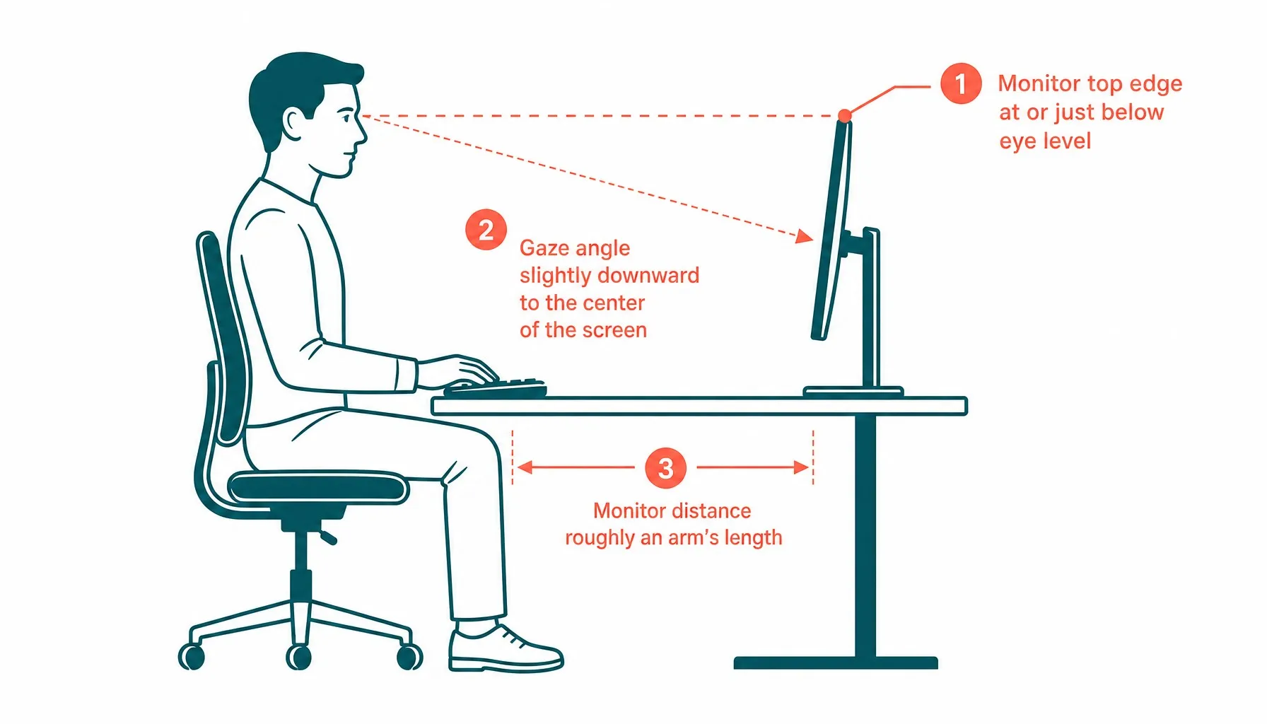Neutral spine positioning for seated clinical examinations — the table depth directly determines whether the ophthalmologist can maintain this posture through a 40-patient day.