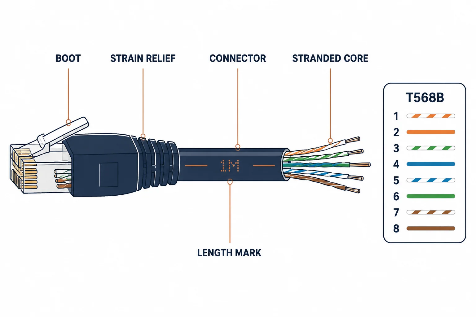 Anatomy of an ethernet patch cable with boot, connector, stranded core and wiring labels