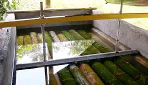 Bamboo treatment and bamboo carbonization process reference image
