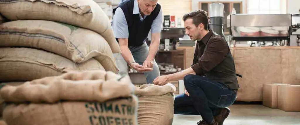Coffee Bean Inspection