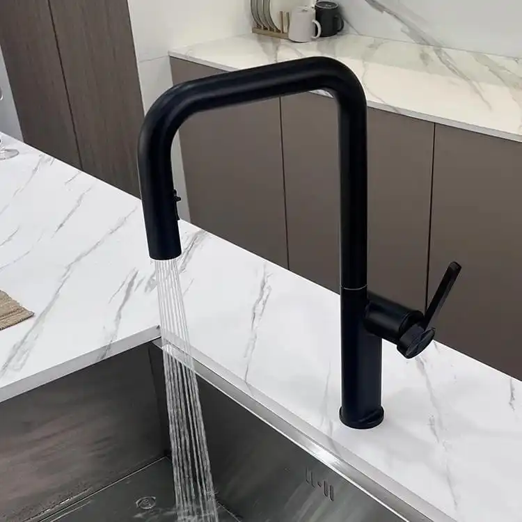 Black Pull Out Kitchen Faucet Model 107 B2E-B Perspective View black-pull-out-kitchen-faucet-perspective-view