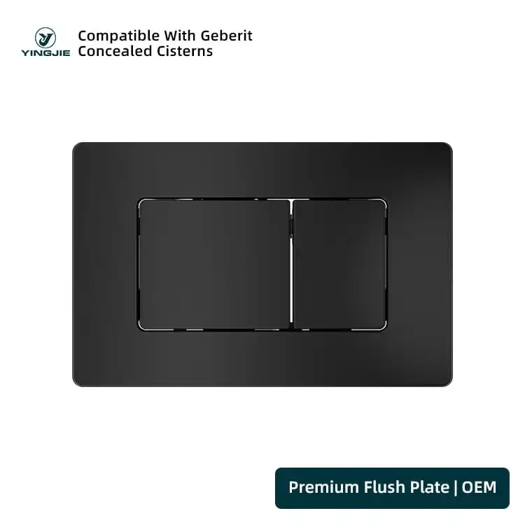 Black Stainless Steel Flush Plate with Rectangular Dual Buttons for Contemporary Washrooms