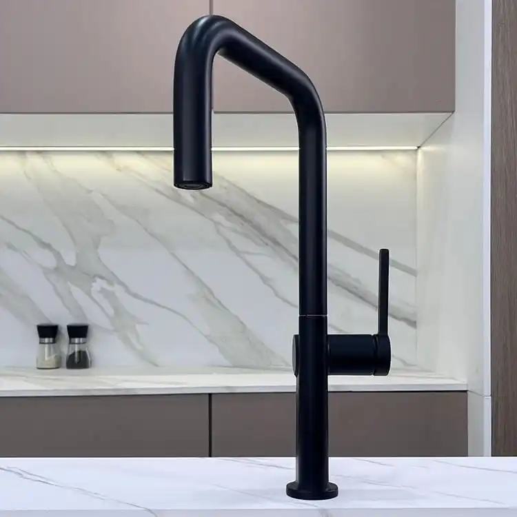 Black Pull Out Kitchen Faucet Model 107 B2E-B Material Detail black-pull-out-kitchen-faucet-detail