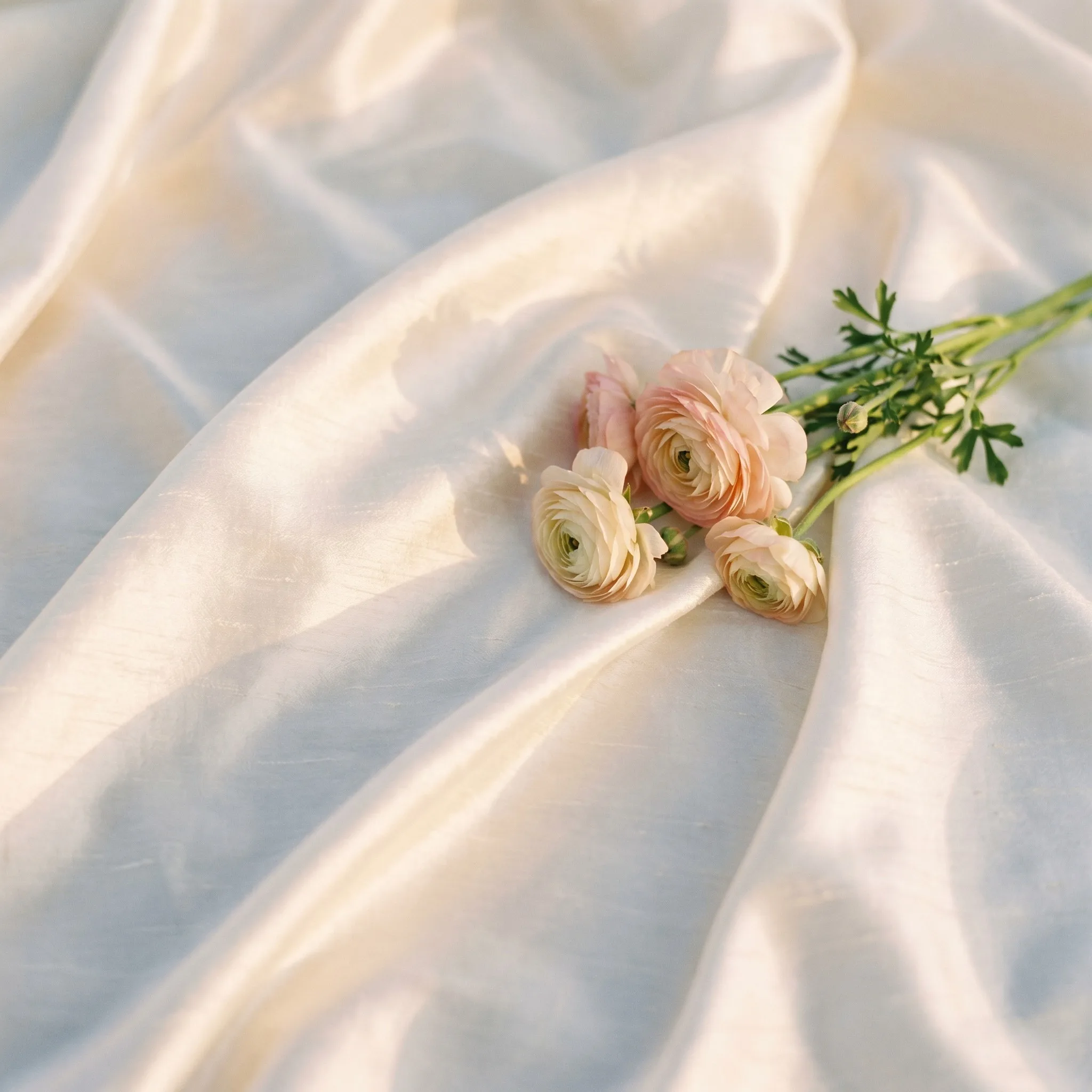 Close-up of silk texture