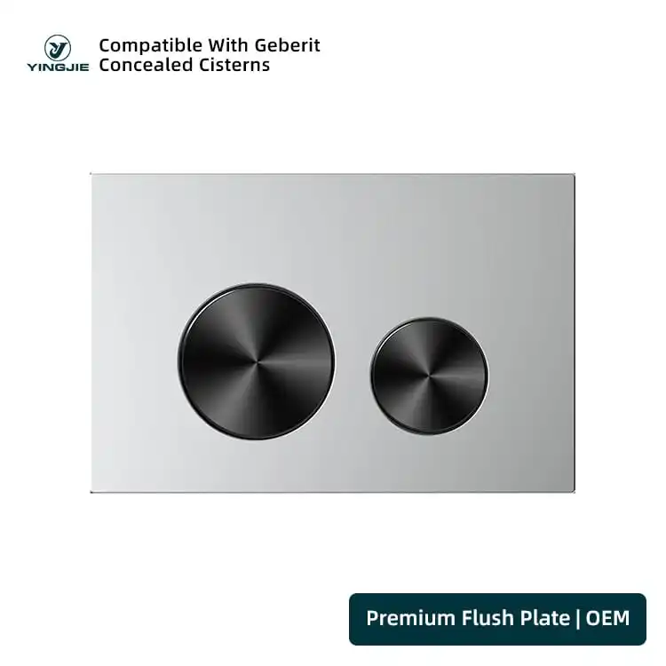 Silver Stainless Flush Plate with Black Round Buttons for Contemporary Bathrooms