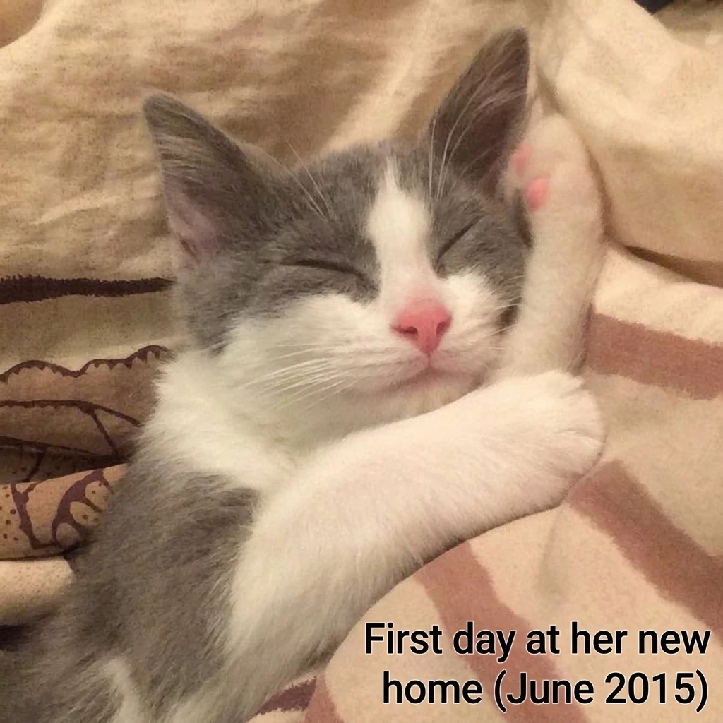 First day at home - Juliet