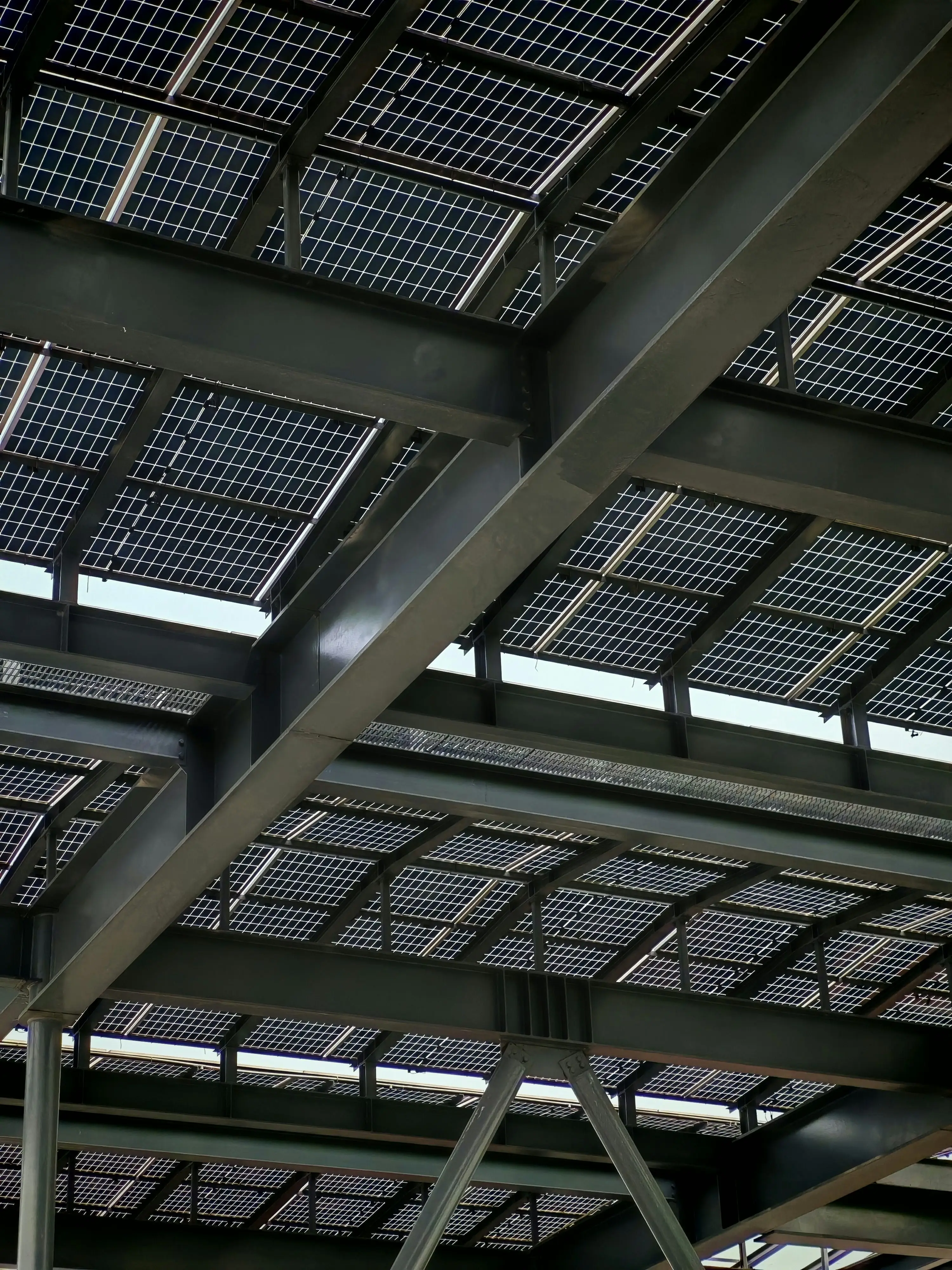 Steel Frame Erection Sequence: From First Column to Roof Bracing