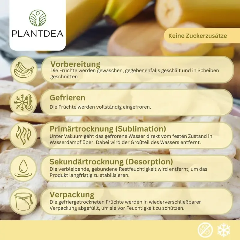 Freeze Drying Process Steps