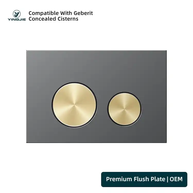 Charcoal Stainless Flush Plate with Gold Round Buttons for Hotel Bathrooms