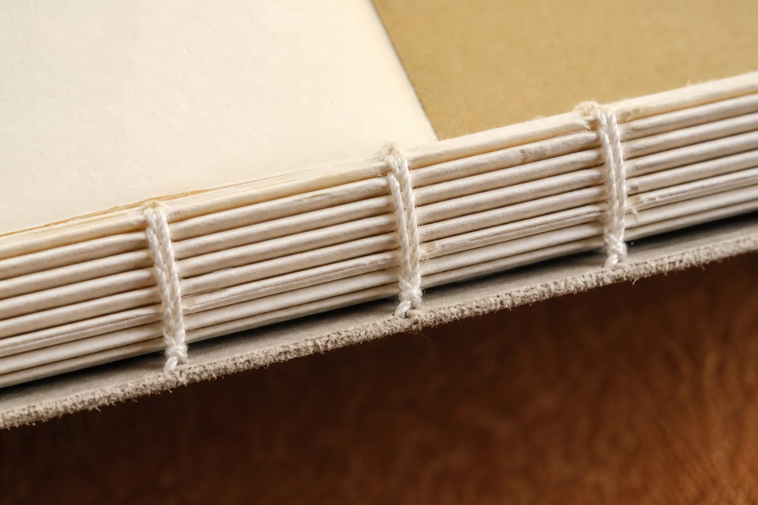 Section sewn binding craft close-up showing thread stitching durability