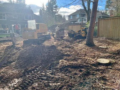 Stump Grinding & Removal