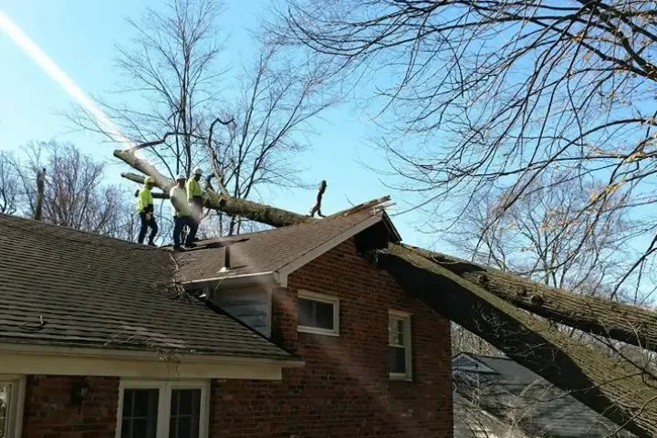 Storm Damage Care