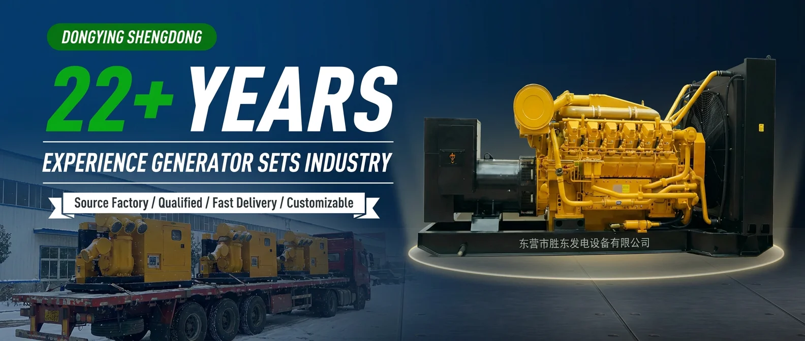 22+ Years Experience Generator Sets Industry – Dongying Shengdong
