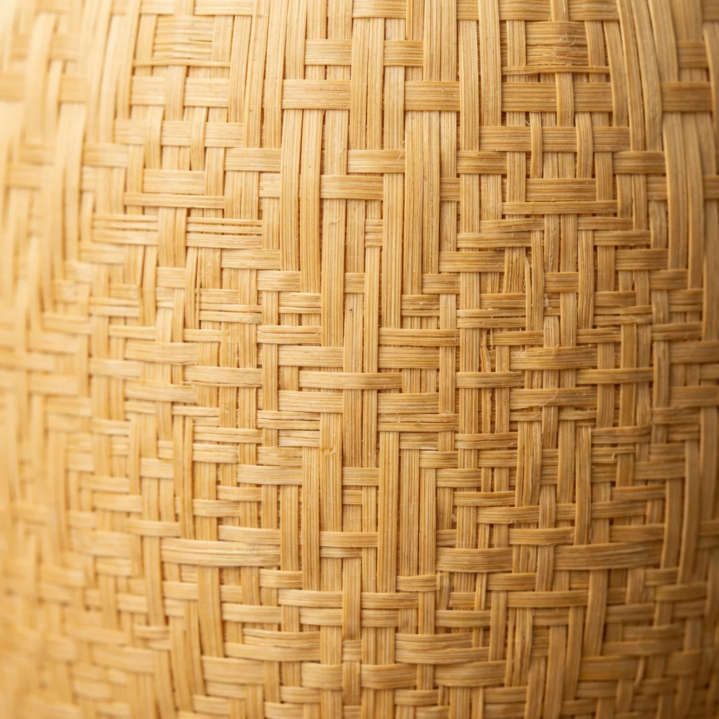 Traditional Chinese Bamboo Forest Workshop