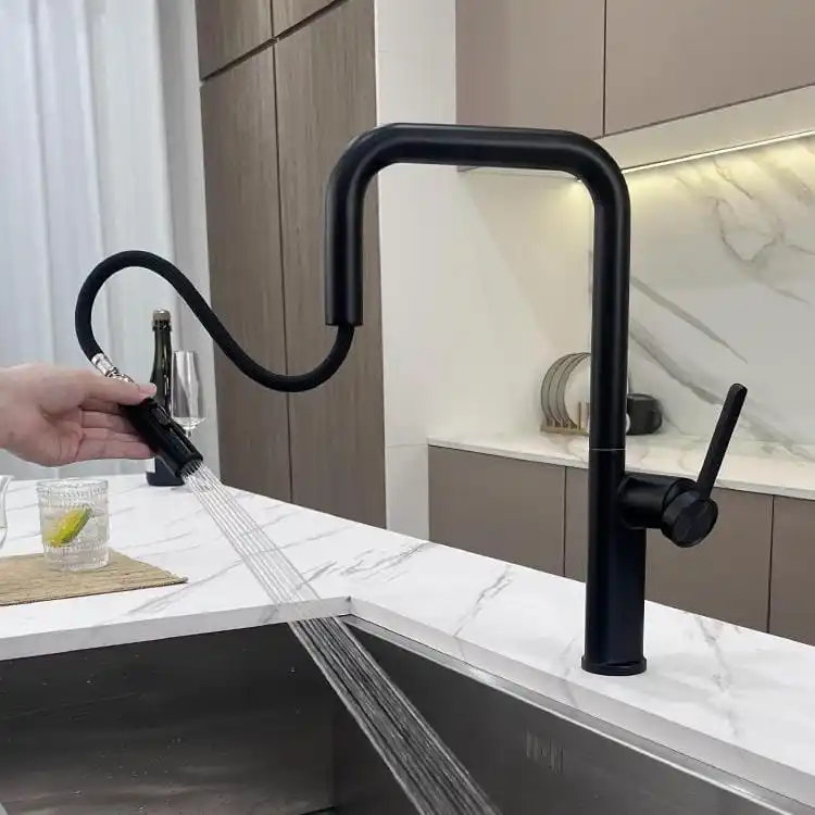 black-pull-out-kitchen-faucet-stream