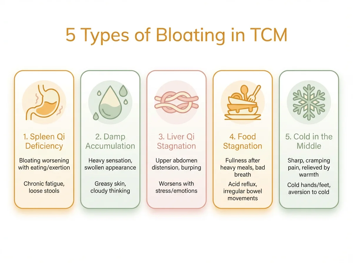 5 Types of Bloating in TCM