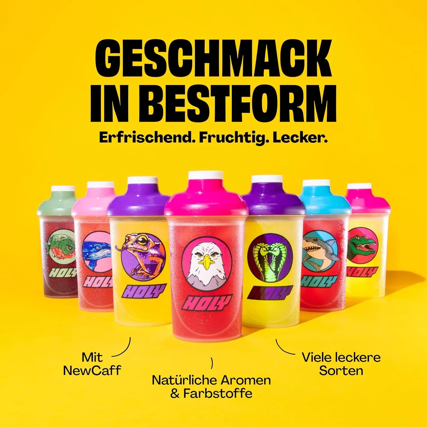 HOLY Sorten Übersicht