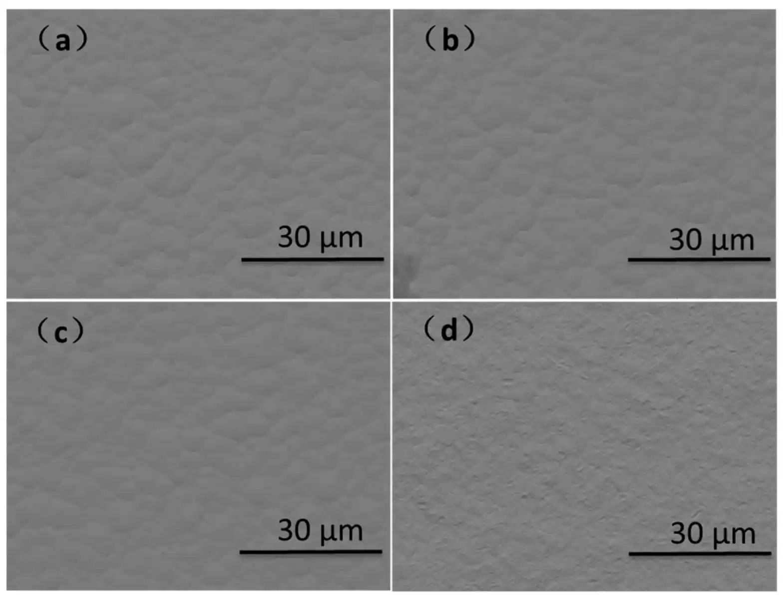 SEM surface morphology of three ENEPIG variants and electroplated Ni/Au