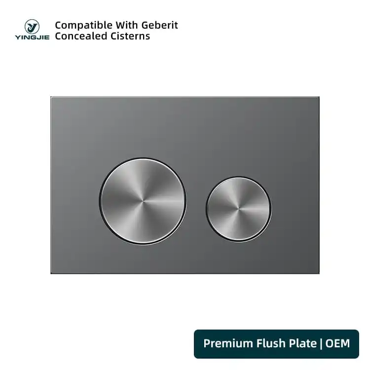 Charcoal Stainless Flush Plate With Brushed Round Buttons For Concealed Cisterns