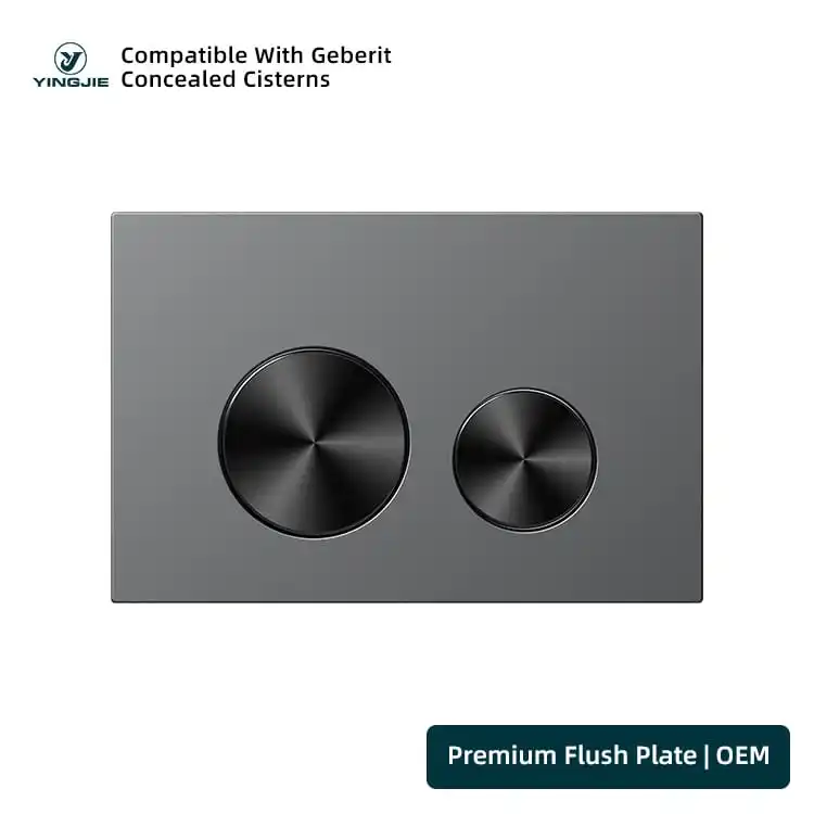 Charcoal Stainless Flush Plate With Black Round Buttons For Contemporary Bathrooms