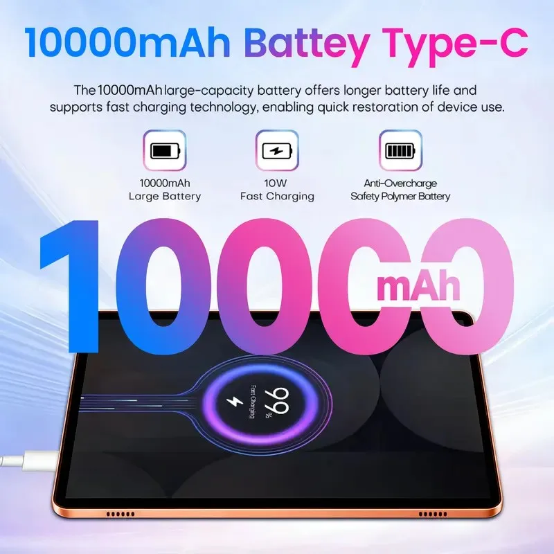 10000mAh Battery Detail