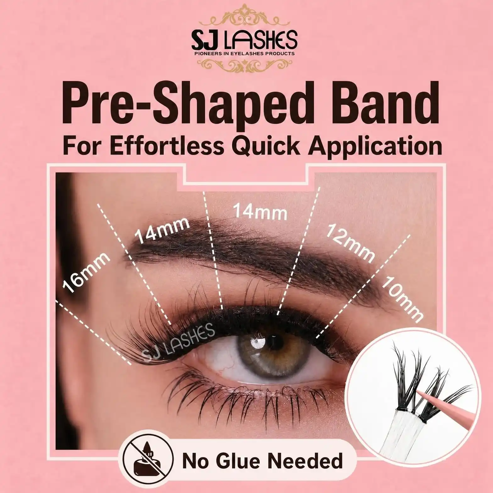 Pre-shaped band lash map poster showing the pink box window shape with 16mm 14mm 14mm 12mm 10mm length mapping across the eye and a no glue needed badge - DIY lash map application guide
