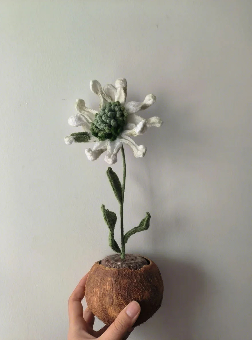 White flower in coconut shell pot