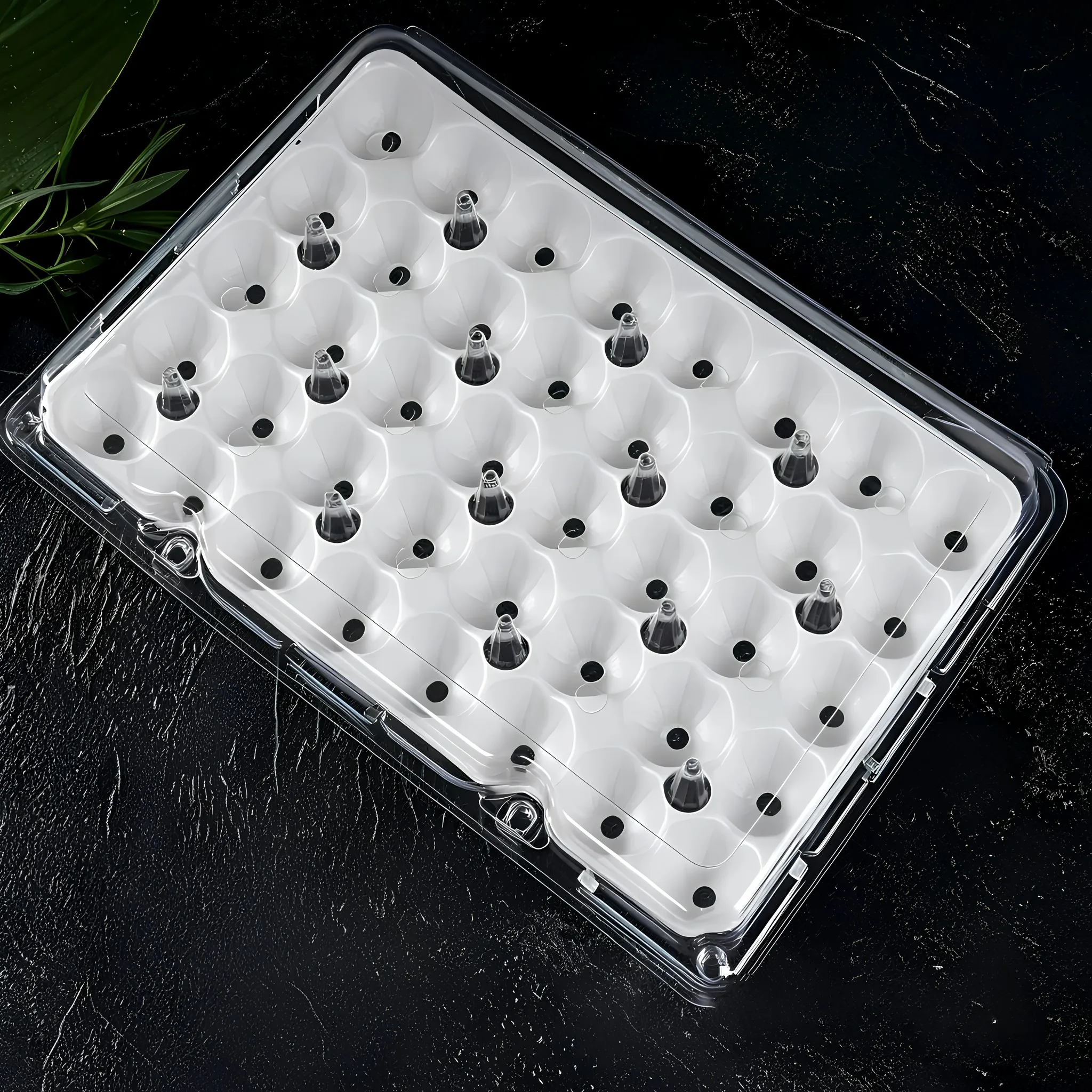 水果定制托盘泡壳 Fruit Custom Tray