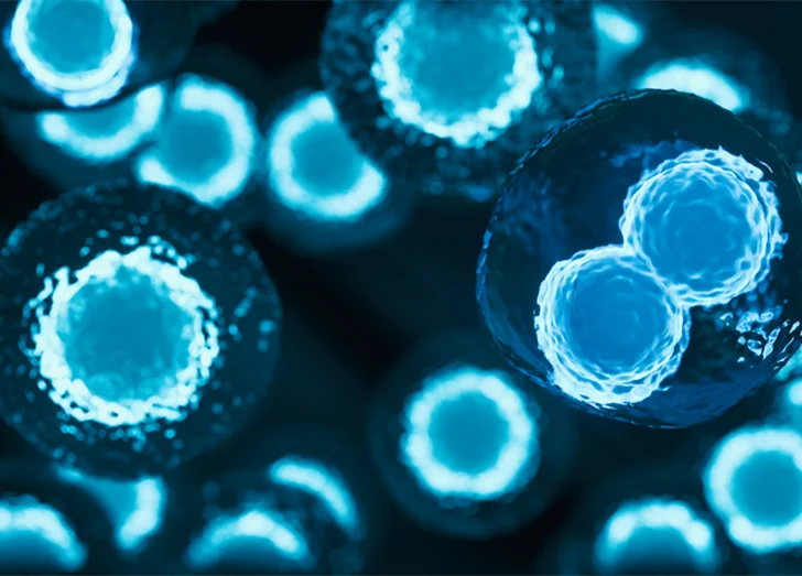 Stem Cells Microscopic