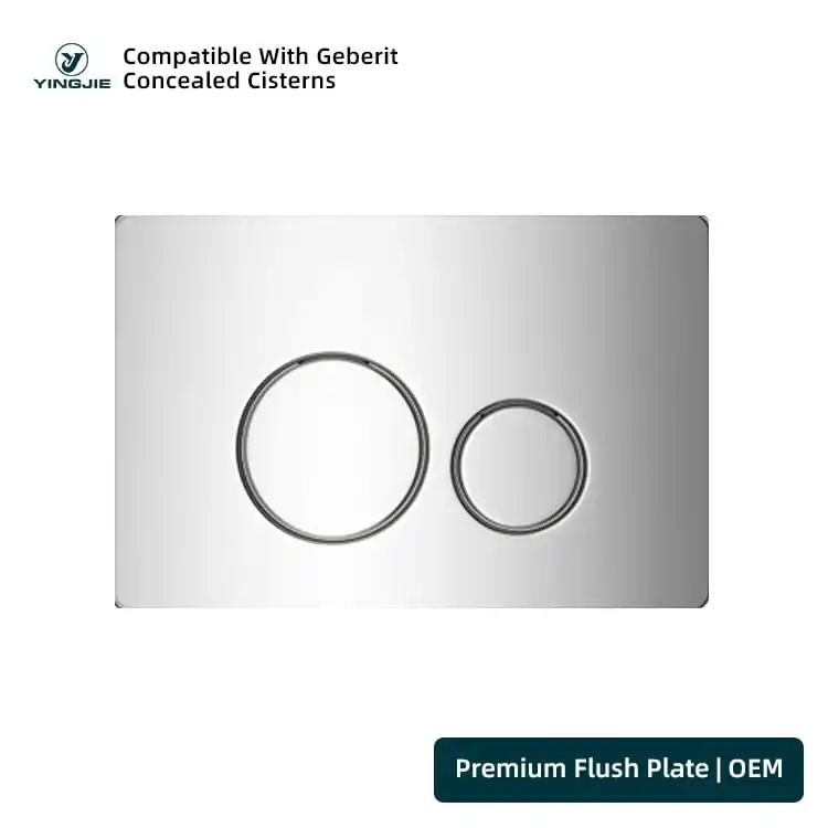 Polished Silver Stainless Flush Plate with Outline Round Buttons for Concealed Cisterns