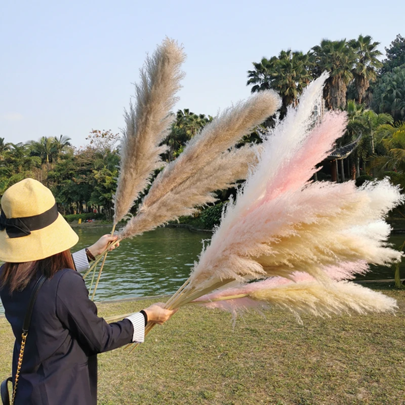 

boda Backdrop stage wedding decoration supplies other wedding decorations items plume Dry Pampas Grass wedding decoration