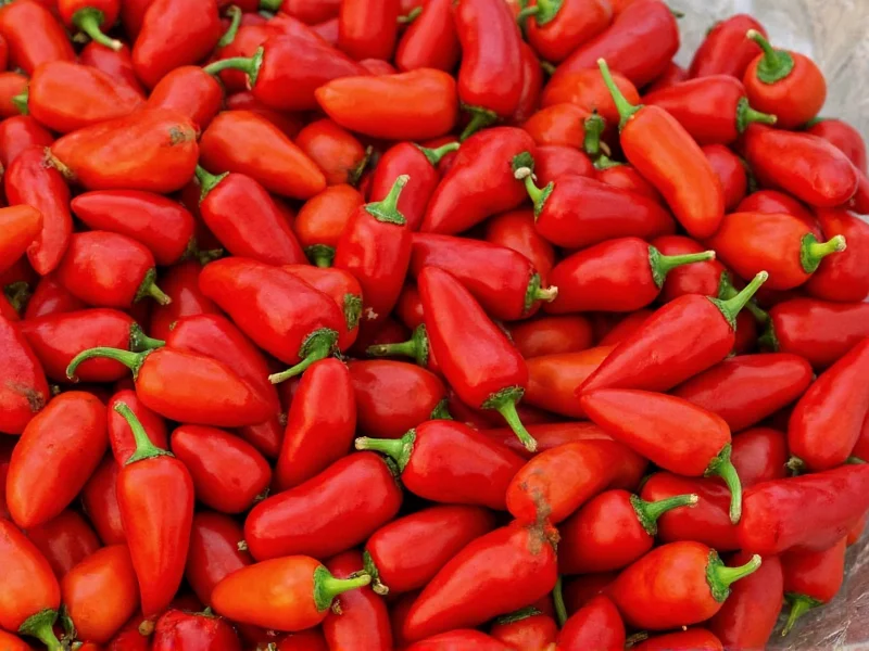 What Peppers Make Paprika: Complete Guide to Paprika Peppers