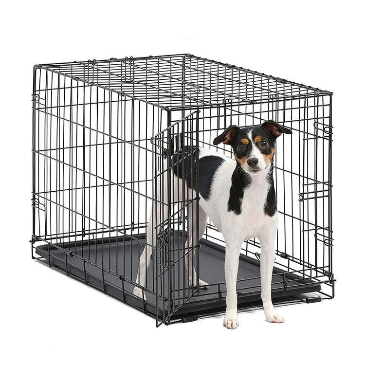 

Stainless Steel Metal Luxury Small Collapsible Pet Display Dog Cages