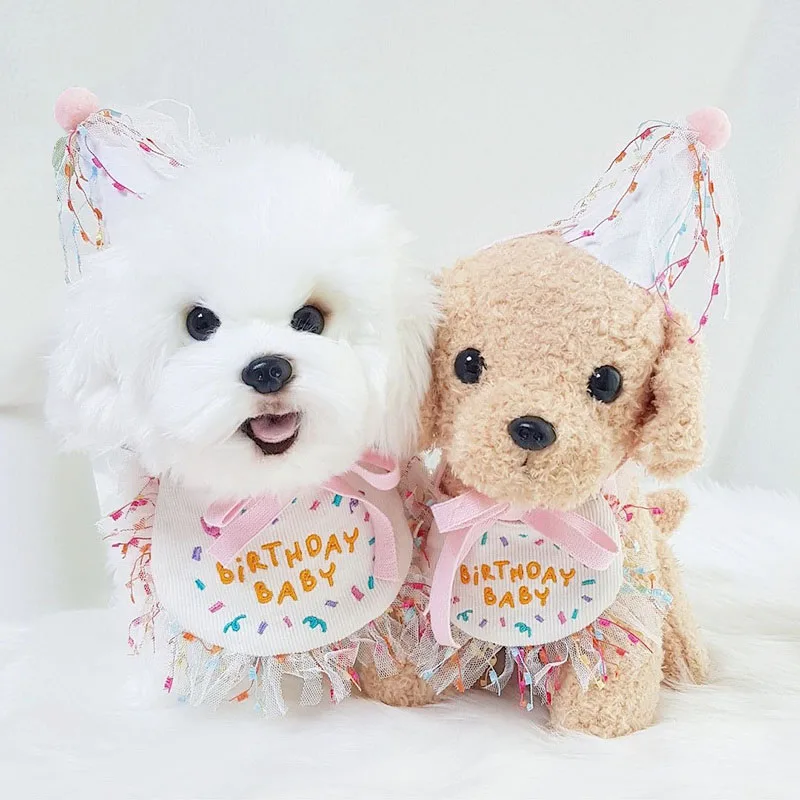 

Korean Sweet Pink Pet Dog Birthday Party Bandana Hat Set