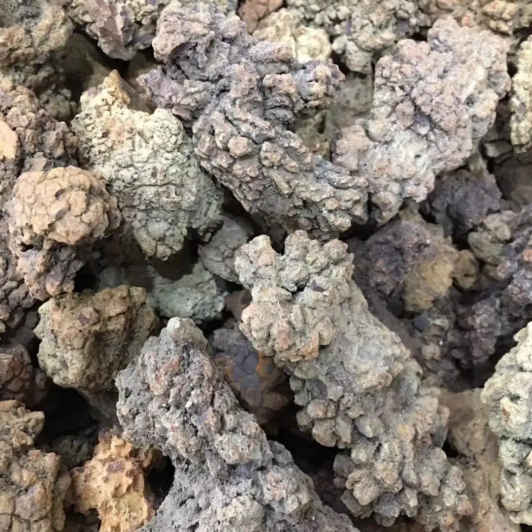 热卖天然恐龙粪便化石为人们带来正能量