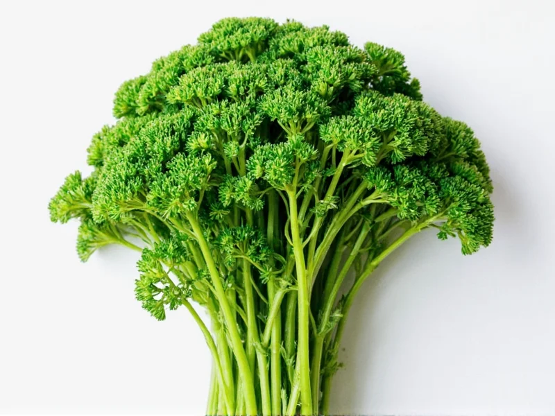 Best Way to Dry Parsley: Flavor-Preserving Methods