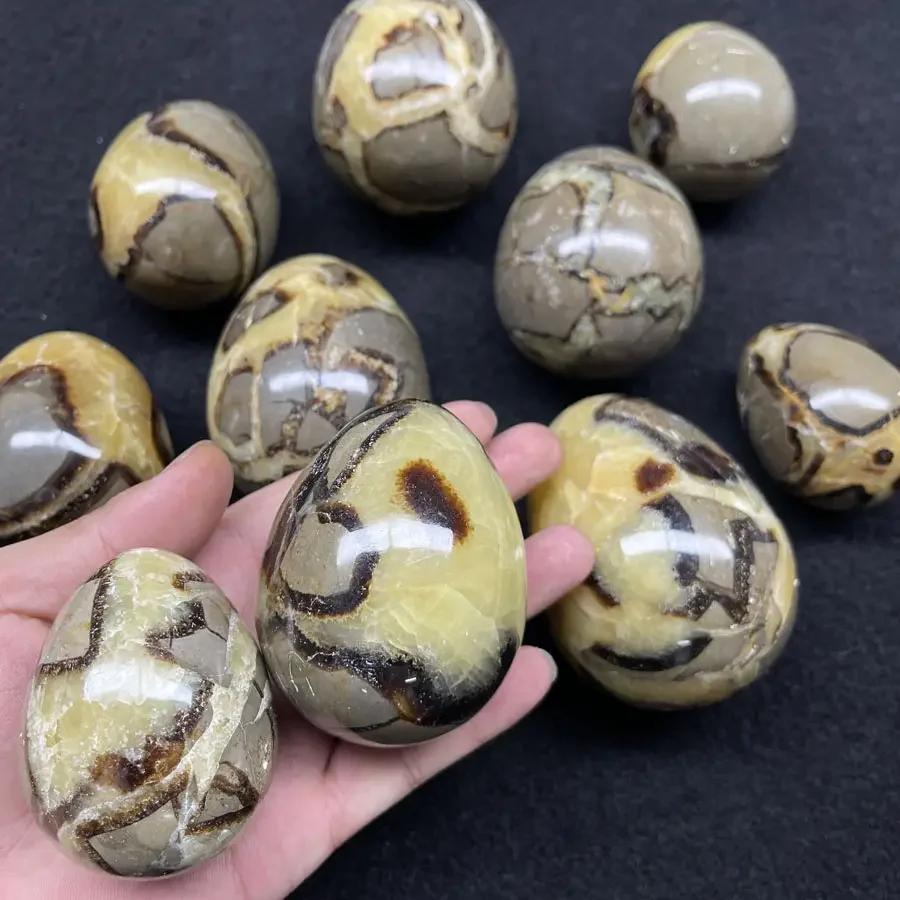 

Wholesale Natural Rock Septarian Dragon Eggs Septarian Eggs For Decorations